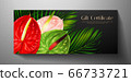 Gift certificate, Voucher with tropical exotic realistic asian flower bouquet - Anthurium andraeanum (flamingo flower) and green palm branch. Blank black background template useful for wedding design, 66733721