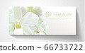 Gift certificate, Voucher with realistic white orchid flower bouquet. Blank background template useful for wedding design, invitation card or coupon 66733722