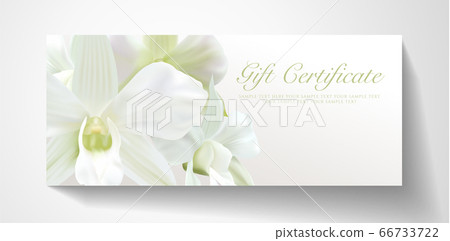 Gift certificate, Voucher with realistic white orchid flower bouquet. Blank background template useful for wedding design, invitation card or coupon 66733722
