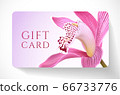 Gift card with beautiful realistic orchid pink flower isolated on clean background. Template useful for wedding design, women shopping card (loyalty card) 66733776