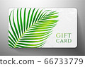 Gift card with beautiful realistic palm branch  isolated on white background. Template useful for wedding design, women shopping card (loyalty card) 66733779