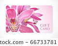 Gift card with beautiful realistic orchid pink flower isolated on clean background. Template useful for wedding design, women shopping card (loyalty card) 66733781