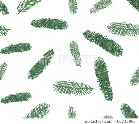 Seamless pattern of spruce, hand drawn botanical print. 66733963