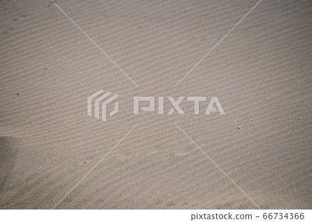 沙灘 66734366