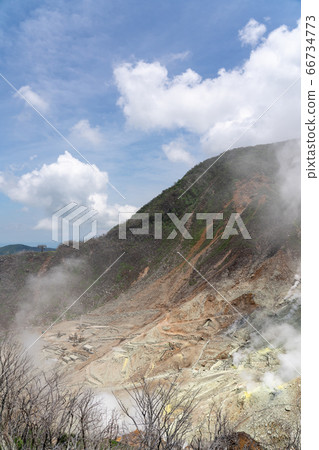 [神奈川縣]大涌谷（六月）在清新的春天的陽光下 66734773