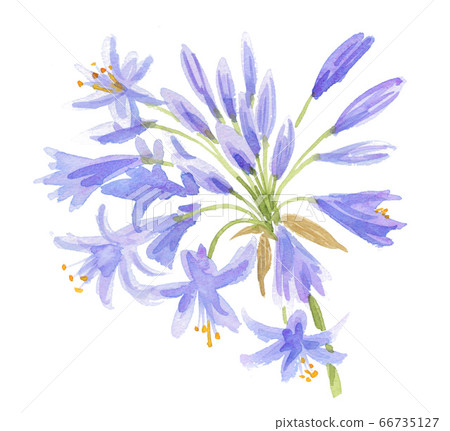 愛情花20622pix7 愛情花20622pix7 66735127