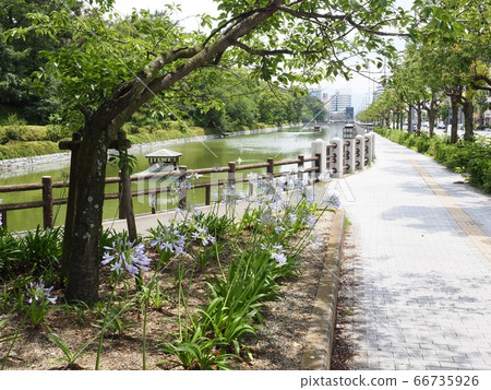 Matsuyama Castle, Tsuji no Tsuji Matsuyama Castle, Tsuji no Tsuji 66735926