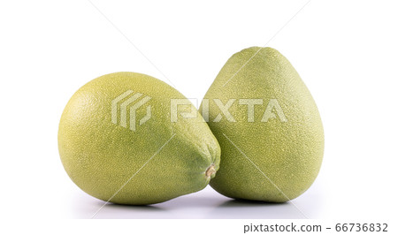 Pomelo mid-autumn festival white background go back pomelo isolated clipping path 切り抜き Pomelo mid-autumn festival white background go back pomelo isolated clipping path 切り抜き 66736832