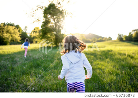 Rear view of two small girls running outdoors in spring nature. 66736878