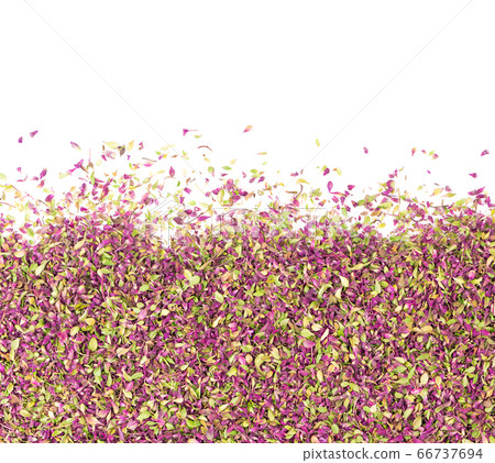 Dried thyme flowers, isolated on white background. Dried thyme flowers, isolated on white background. 66737694