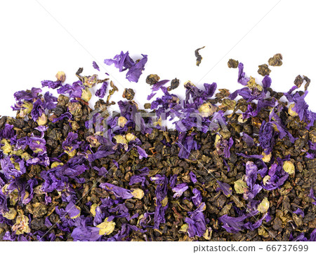 Tie Guan Yin tea with mallow flowers, isolated on Tie Guan Yin tea with mallow flowers, isolated on 66737699