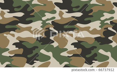 Camouflage pattern background vector. Classic 66737912