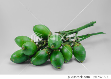 Betel nuts isolated on white background Betel nuts isolated on white background 66737925