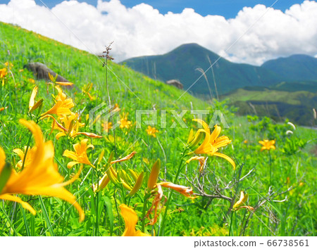 立式山和日光s的花園 立式山和日光s的花園 66738561