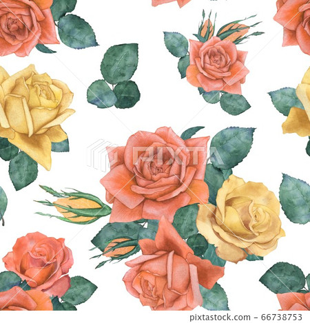 Roses 3. Seamless floral pattern. Watercolor illustration. Hand-drawing 66738753