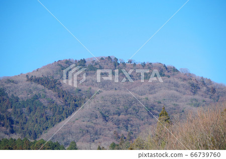 Blue skies and thickets in winter looking up from the foot of a small mountain Blue skies and thickets in winter looking up from the foot of a small mountain 66739760