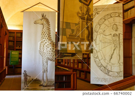 Biblioteca Fray Francisco de Burgoa (Oaxaca México) 66740002