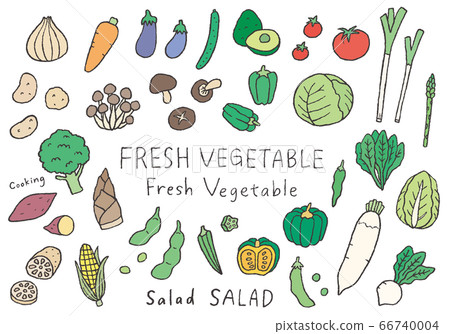 Hand-drawn illustrations of various vegetables (color) 66740004