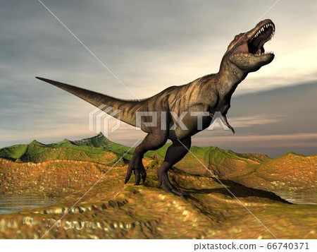 Tyrannosaurus rex dinosaur - 3D render 66740371