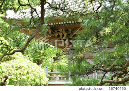 新鮮的綠色日本建築 66740660