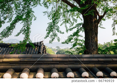 Gyodong Hyanggyo Confucian School in Ganghwa-gun, Incheon, Korea 66740919