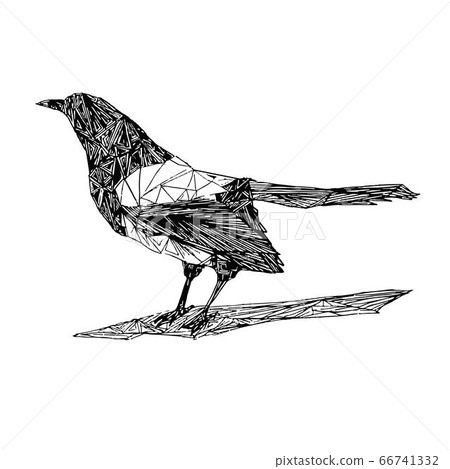 Magpie Bird Figure Isolated White Background 66741332