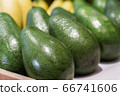 Green avocado on grocery shelf. Close-up of vitamin healthy fruits in supermarket. Fresh organic food, healthy eating, seasonal vitamins. 66741606