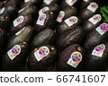 Avocados with blurred labels lying in supermarket. Bunch of fresh organic nutritional fruits in retail grocery. Vitamins, healthy eating, dieting. 66741607