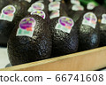 Close-up of delicious blue avocado on shelf in grocery. Vitamins, fresh organic food, healthy eating. 66741608