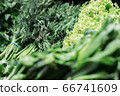 Assortment of greenery in grocery close-up. Green salad on shelf in supermarket. Healthful vegan food, vitamin seasonal eating, nutrition. 66741609