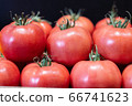 Red tomatoes with water drops on black background. Close-up of tasty fresh organic vegetables on store shelf for sale. Vegan food, healthy eating, healthful product. 66741623