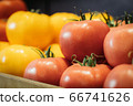 Close-up of red wet tomatoes with yellow vegetables at the background. Fresh tasty organic agricultural products lying on shelf in grocery. Healthy food, vitamin eating, assortment. 66741626