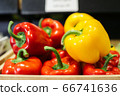 Wet bell pepper lying under light in grocery. Close-up of red and yellow organic vegetables in supermarket. Healthy food, nutrition, vegeterianism, assortment. 66741636