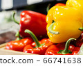 Side view of yellow bell pepper lying on red peppers on the shelf. Close-up of fresh agricultural vegetables in grocery. Vegeterian food, dieting, healthy eating. 66741638