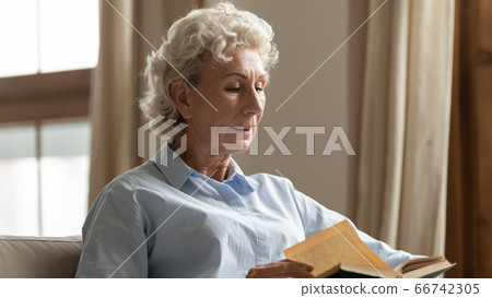Serious woman sitting on couch focused at reading interesting book 66742305