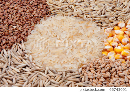 Basic cereals and grains mixed 66743091