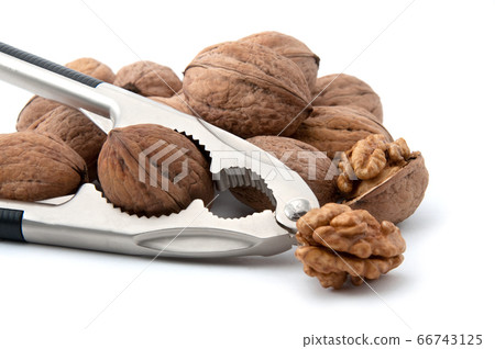 Walnuts with nutcracker 66743125