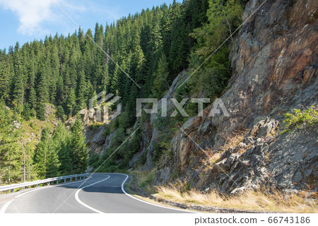 Serpentine road in the mountains. Summer sunny landscape with tall pines and rocks 66743186