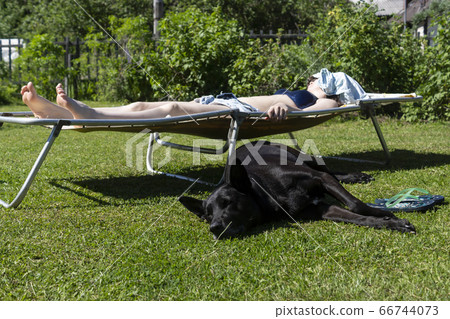 Girl on hot summer day sunbathes on a lawn on cot and next lies black shepherd Girl on hot summer day sunbathes on a lawn on cot and next lies black shepherd 66744073