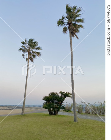 Personality Personality 66744075