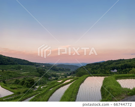 Rice paddy field in Beppu 66744772