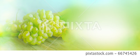 Grapes with copy space. Bunch of grapes on wooden 66745426