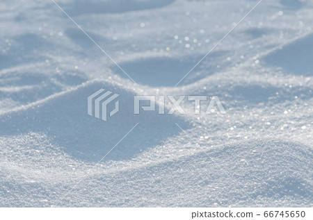 Background of fresh snow 66745650