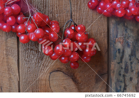 Branches of viburnum on a wooden table 66745692