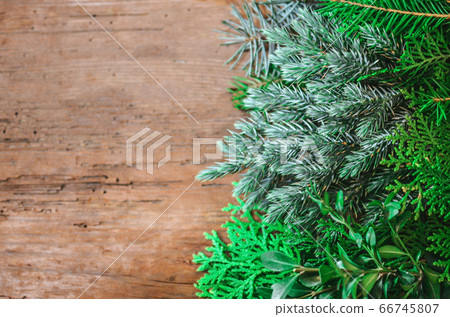 Christmas wooden background with fir tree Christmas wooden background with fir tree 66745807