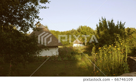 Rural house with thatched roof and white walls. Rural house with thatched roof and white walls. 66746109