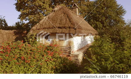 Close-up small house with thatched roof and white walls in the forest. Close-up small house with thatched roof and white walls in the forest. 66746119
