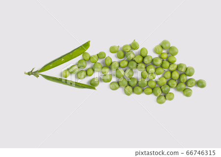 Fresh pea beans and opened pod. Fresh pea beans and opened pod. 66746315