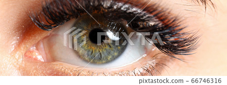 Beautiful female green colored right eye with eyelashes extensions 66746316