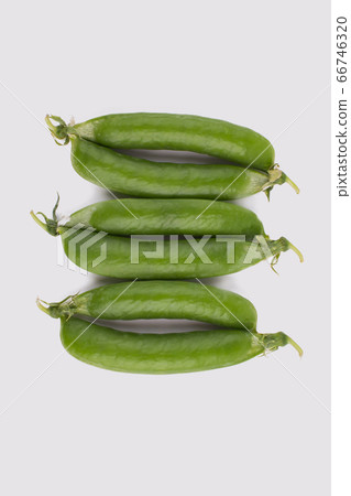 Pods of green peas. Pods of green peas. 66746320